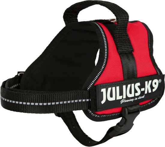 Rood Julius-K9® "Glowing in dark" hondentuig met zwarte gespen en reflecterende rand.