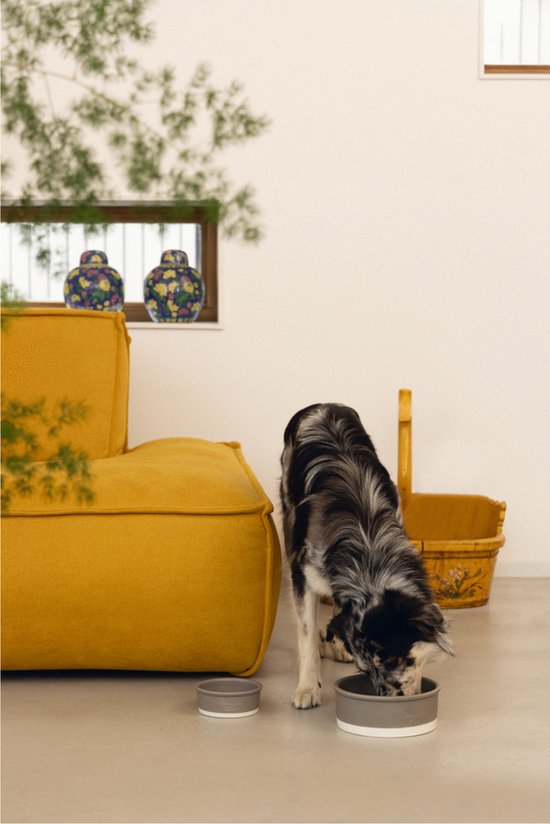 Designed by Lotte Hondenvoerbak Joa Ø16X 6 cm Grijs