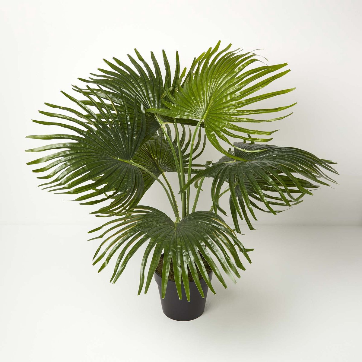 Homescapes kunstpalm in pot, waaierpalm, 80 cm Groen
