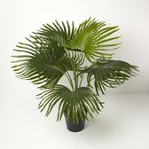 Homescapes kunstpalm in pot, waaierpalm, 80 cm