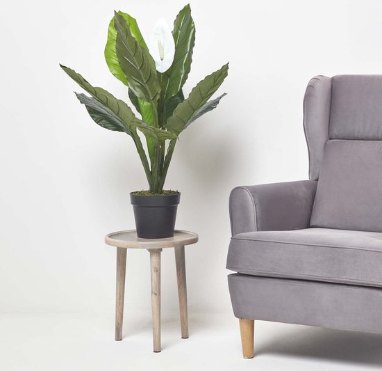 Homescapes Plante artificielle Arum en pot, 90 cm bol — free download