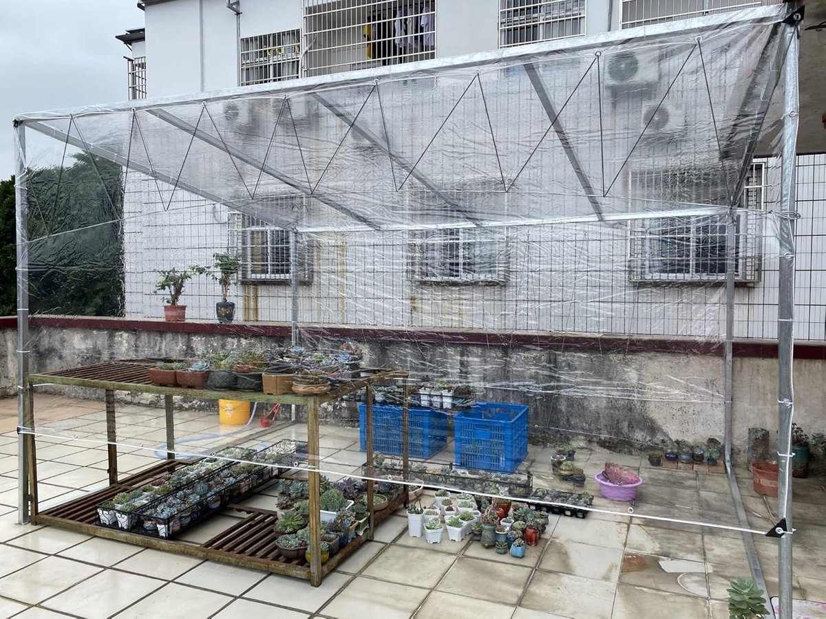 WOLTU Waterdicht transparant zeil met oogjes, pvc-zeil, 380 g/m², 2 x 4 m, afdekzeil met touw, windbescherming, regenbescherming voor terras, paviljoen, broeikas