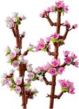 Twee takken met roze en witte kersenbloesems, met groene blaadjes.