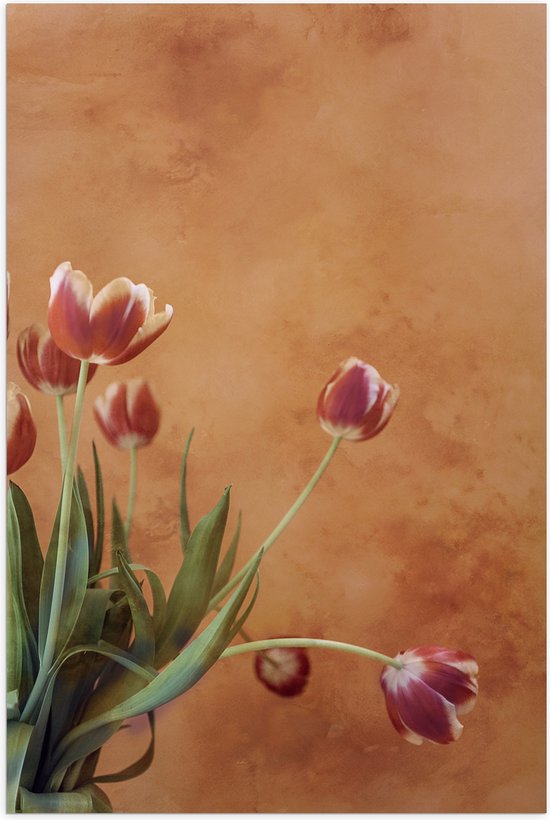 Poster (Mat) - Geel - Rode Tulpen in Vaas tegen Bruin Gevlekte Muur - 70x105 cm Foto op Posterpapier met een Matte look