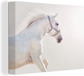 Tableau sur toile Cheval - Wit - Crinière - 160x120 cm - Décoration murale XXL
