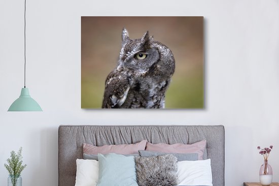 Gros plan d'un petit hibou sur toile 160x120 cm - Tirage photo sur toile (Décoration murale salon / chambre) XXL / Groot format!