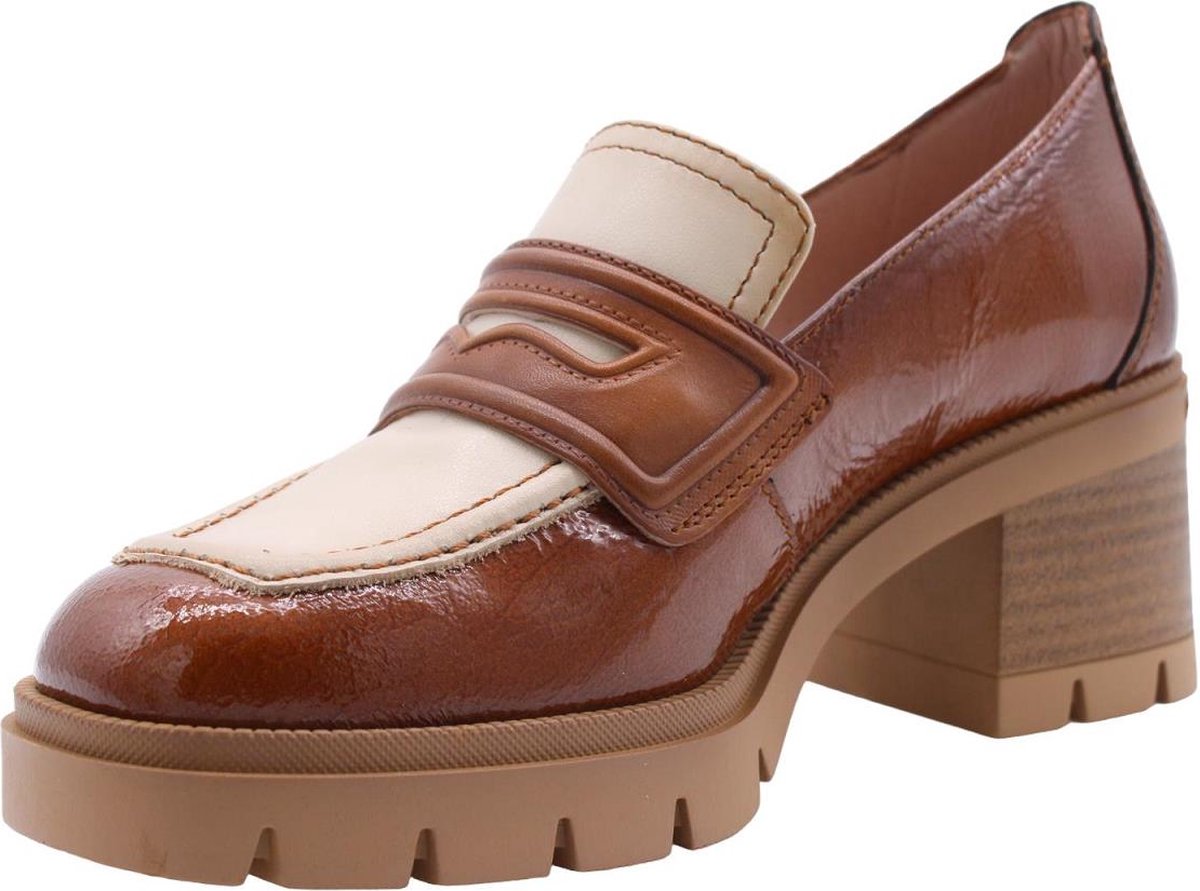 Hispanitas Kansas HI254386 Rock Avellana koop je bij Vabotti