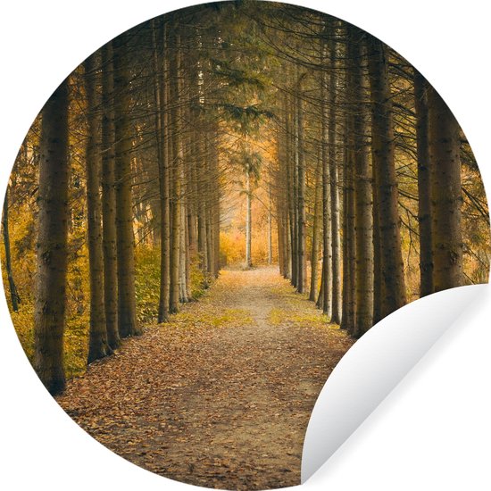 Foto: Wallcircle muurstickers behangcirkel pad bomen bos 100x100 cm muurcirkel zelfklevend ronde behangsticker xxl