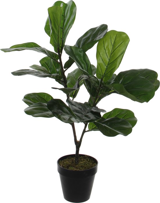 2x stuks groene ficus Lyrata kunstplant 75 cm voor binnen - kunstplanten/nepplanten/binnenplanten met pot
