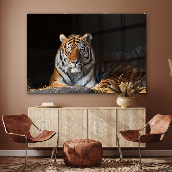 MuchoWow® Peinture sur verre 180x120 cm - Peinture sur verre acrylique - Tigre - Paille - Ombre - Photo sur verre - Peintures