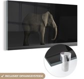 MuchoWow® Glasschilderij 160x80 cm - Schilderij acrylglas - Olifant - Dieren - Licht - Foto op glas - Schilderijen