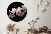 WallCircle - Cercle mural - Cercle mural d'intérieur - Sakura - Fleurs - Branches fleuries - Botanique - Wit - 120x120 cm - Décoration murale - Peintures ronds XXL