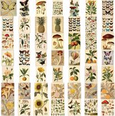Vintage Flora & Fauna poster Stickers met o.a. bloemen, planten, vlinders, paddestoelen - 4,5 x 5CM - 100 Stickers