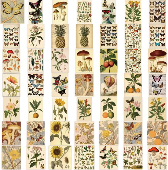 Foto: Vintage flora fauna poster stickers met o a bloemen planten vlinders paddestoelen 4 5 x 5cm 100 stickers