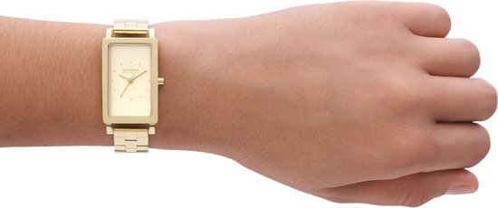 Montre Femme Skagen HAGEN SKW3098 22 mm - Or