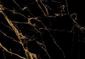 Fotobehang - Vlies Behang - Goud met Zwart Marmer - 460 x 300 cm
