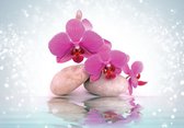 Fotobehang - Vlies Behang - Sprankelende Orchideeën en Stenen - Wellness - Spa - 368 x 254 cm