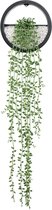 Cgoods Wanddecoratie - kunstplant - muurdecoratie - hangplant - plantenpot - zwart