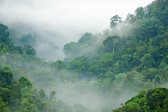 Fotobehang Rainforest Morning Fog - Vliesbehang - 460 x 300 cm