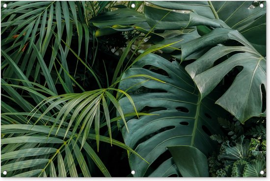 Tuinposter - Tuindoek - Tuinposters buiten - Planten - Jungle - Bladeren - Tropisch - 120x80 cm - Tuin