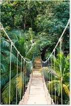 Muurdecoratie Jungle - Palmboom - Brug - Natuur - Planten - 120x180 cm - Tuinposter - Tuindoek - Buitenposter