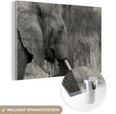 MuchoWow® Glasschilderij 120x80 cm - Schilderij acrylglas - Olifant - Dieren - Zwart - Wit - Foto op glas - Schilderijen