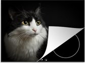 KitchenYeah® Inductie beschermer 60x52 cm - Katten portret - Kookplaataccessoires - Afdekplaat voor kookplaat - Inductiebeschermer - Inductiemat - Inductieplaat mat