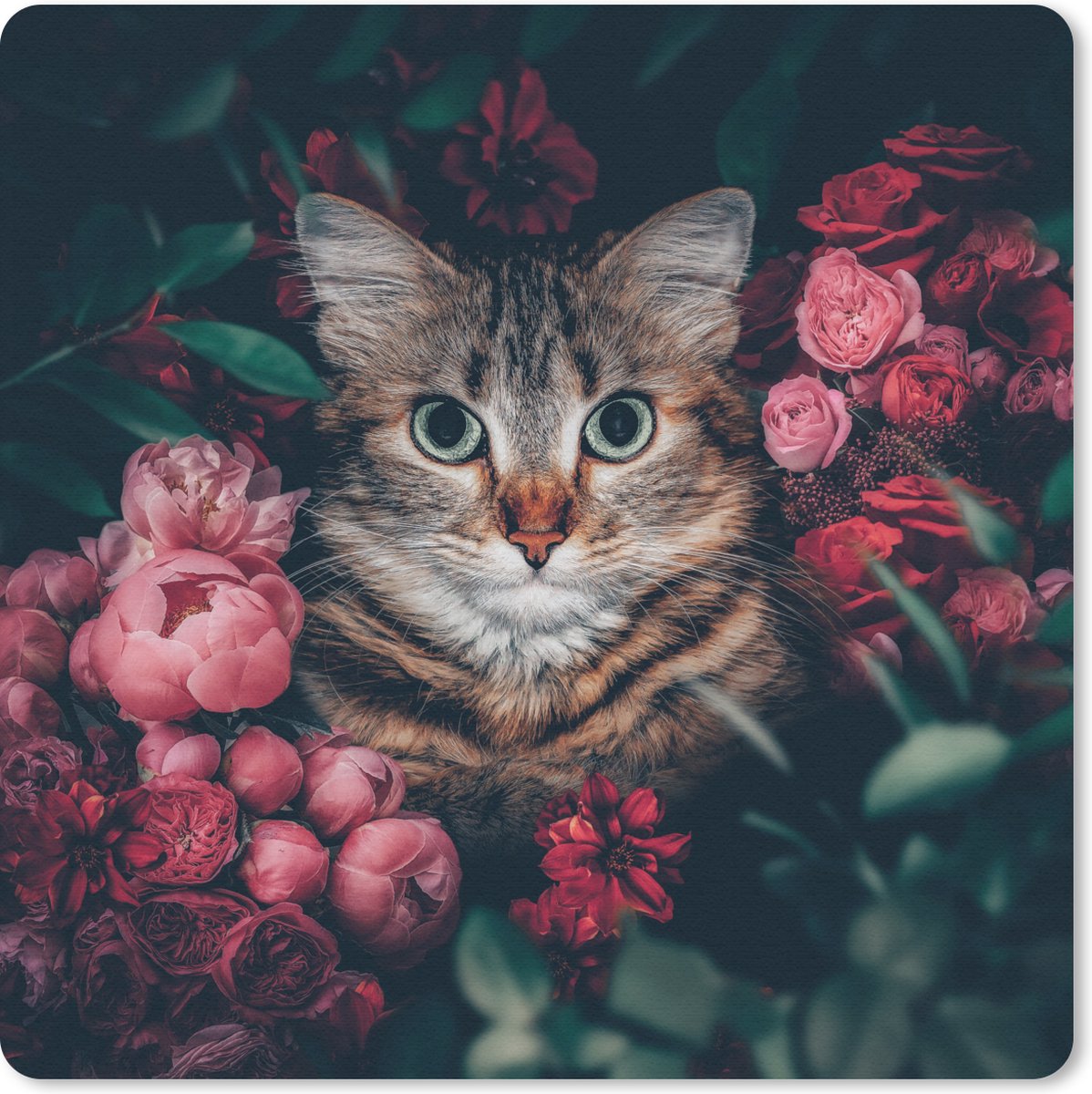 Muismat 20x20 cm - Mousepad Kat - Bloemen - Bladeren - Botanisch - Muismatten