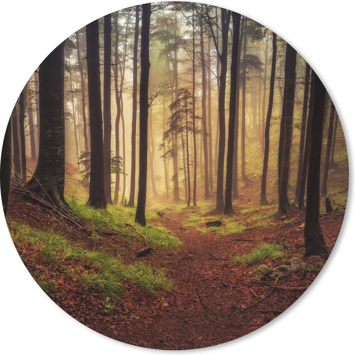 Muismat rond 30x30 cm - Mousepad Bomen - Natuur - Bos - Ronde muismatten