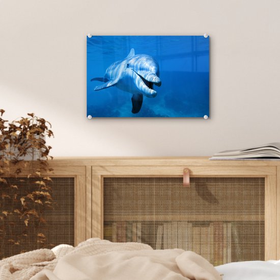 Peinture sur Verre - Dauphin - Water - Mer - 30x20 cm - Peintures sur Verre Peintures - Photo sur Glas