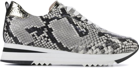 Maripe Dames Sneakers Zwart combi snake hoge sneaker | Van den Assem