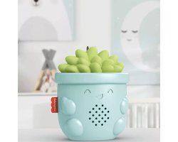 Fisher-Price Soothe & Go Succulent
