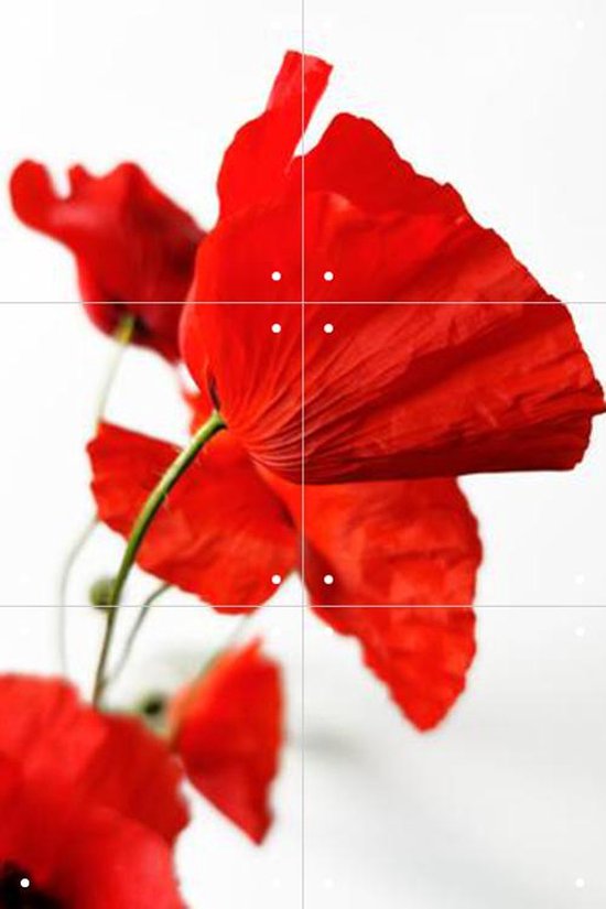 IXXI Poppies - Wanddecoratie - Bloemen en Planten - 40 x 60 cm