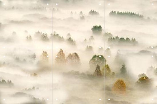 IXXI Autumn Dream III - Wanddecoratie - Fotografie - 60 x 40 cm