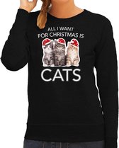 Kitten Kerstsweater / Kersttrui All I want for Christmas is cats zwart voor dames - Kerstkleding / Christmas outfit XS