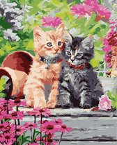 Schilderen op Nummer - Kittens - Painting by Numbers - 50x40 cm - Complete Set