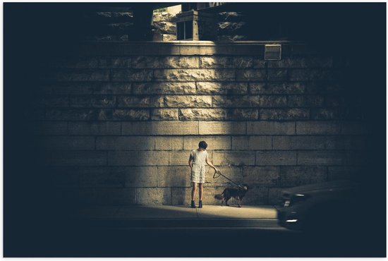 Poster – Jongen en Hond in Lichtinval  - 60x40cm Foto op Posterpapier