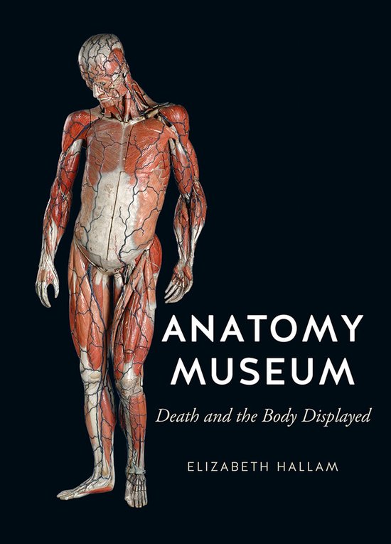 Anatomy Museum - cover