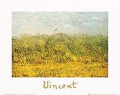 Vincent Van Gogh - The wheat field Kunstdruk 30x24cm