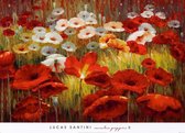 Lucas Santini - Meadow Poppies II Kunstdruk 91x66cm