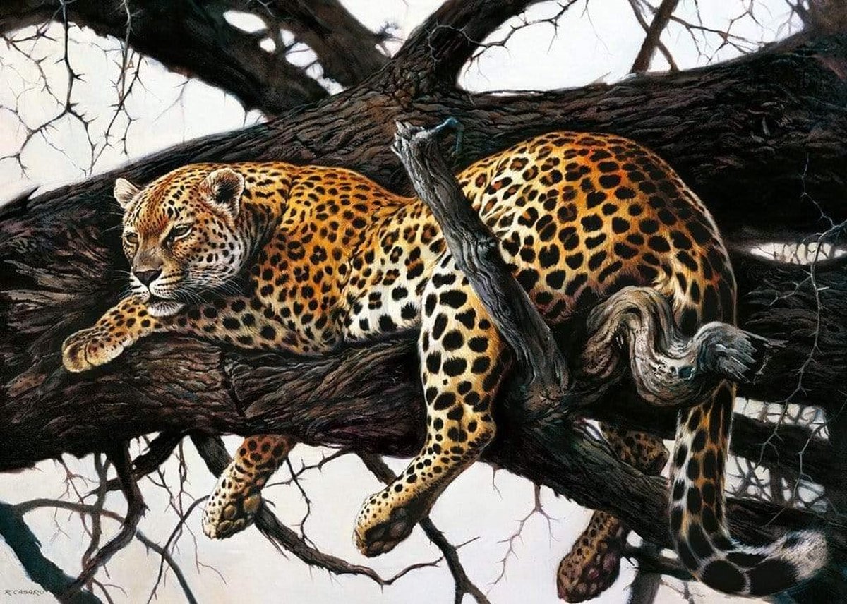 Kunstdruk Renato Casaro - Laziness 70x50cm