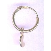Twice As Nice Oorbellen in 18kt verguld zilver, oorring, maantje