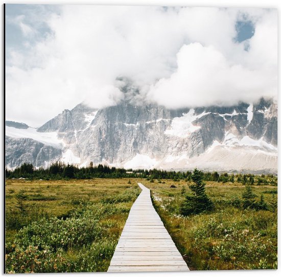 Dibond - Houten londer naar Bergen - 50x50cm Foto op Aluminium (Met Ophangsysteem)