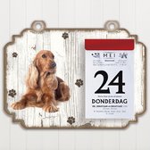 Scheurkalender 2023 Hond: Engelse CockerspaniÃ«l