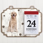 Scheurkalender 2023 Hond: Golden Retriever