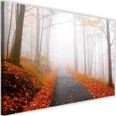 Schilderij Weg door herfst bos, 2 maten, multi-gekleurd, Premium print