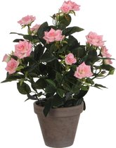 Décorations Mica - Rose Bush H33D25 Rose En Pot Stan D11.5 Gris