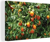 Canvas Schilderij Fruit - Sinaasappel - Boom - 60x40 cm - Wanddecoratie