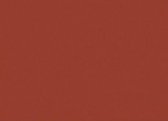 Folia Tekenpapier rood bruin 50x70 cm - 130 gram
