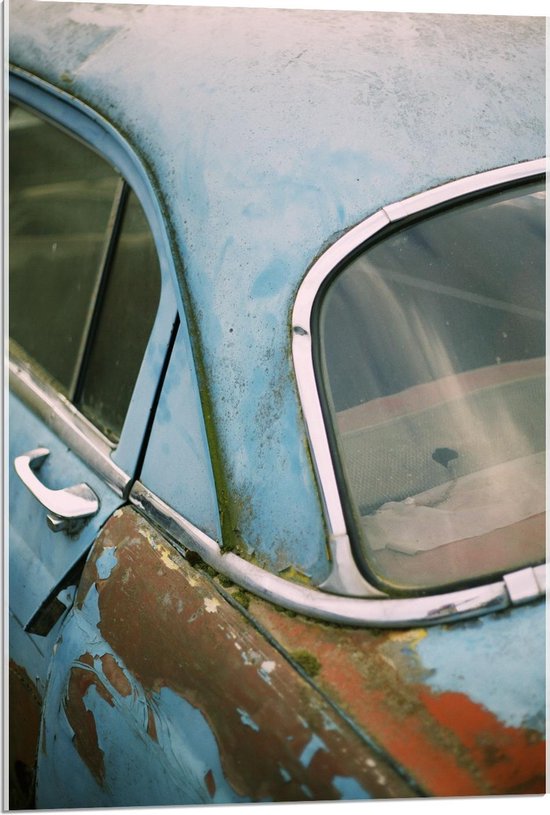 Acrylglas - Oude Blauwe Auto met Mos - 60x90cm Foto op Acrylglas (Met Ophangsysteem)